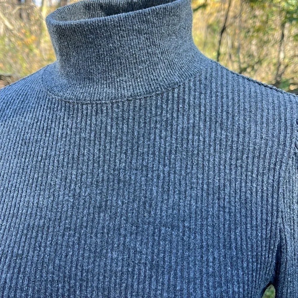 J. Crew crew turtleneck